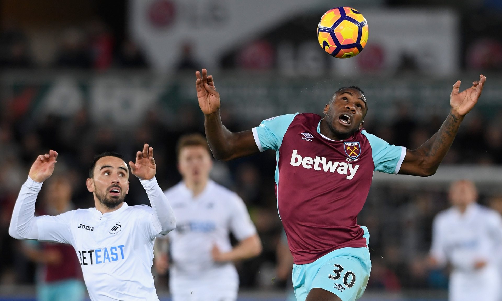 的出现不仅 的出现不仅